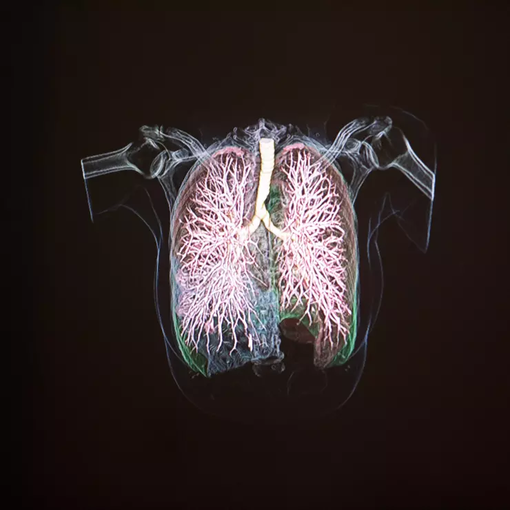 Gesundheitswissenschaften Gesundheitswissenschaften